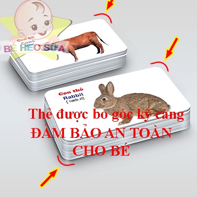 Thẻ học thông mình cho bé song ngữ gồm 16 chủ đề với 416 thẻ - HÀNG CHÍNH HÃNG