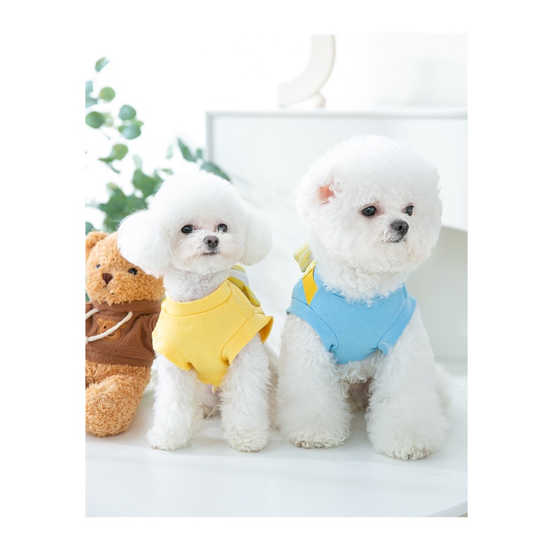 áo thun túi bao tử Teddy 2023 cho chó mèo