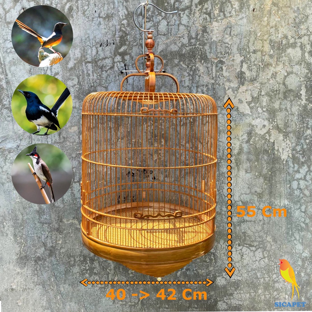 Lồng Chòe Than - Chòe Lửa , Lồng chim Chích Chòe đẹp SICAPET