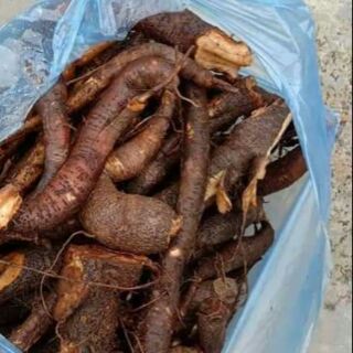 Củ gai tươi nhà trồng sạch 1kg