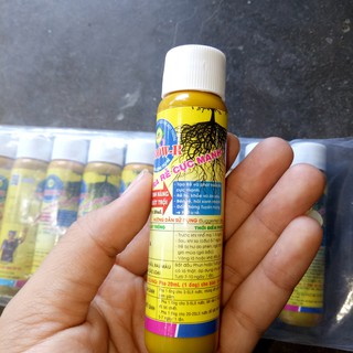 Bộ 10 ống kích thích ra rễ cực mạnh cho cây trồng