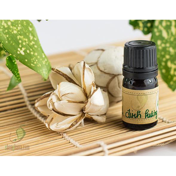 SHEAGHANA - TINH DẦU ĐINH HƯƠNG (CLOVE ESSENTIAL OIL) 5ML