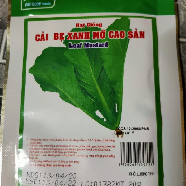 CẢI BẸ XANH MỠ cao sản