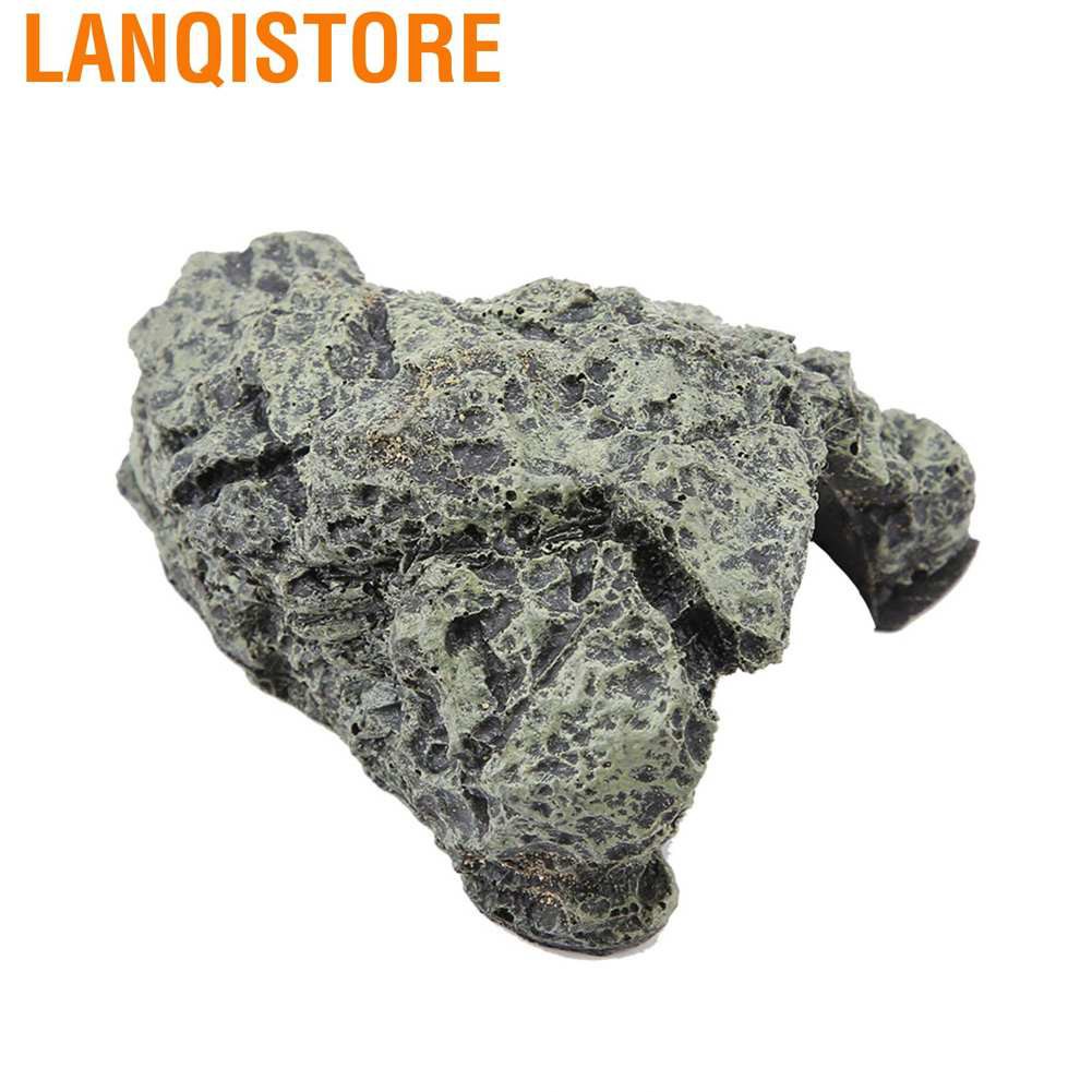 Hang Nuôi Rùa / Động Vật Bò Sát Trang Trí Bể Cá