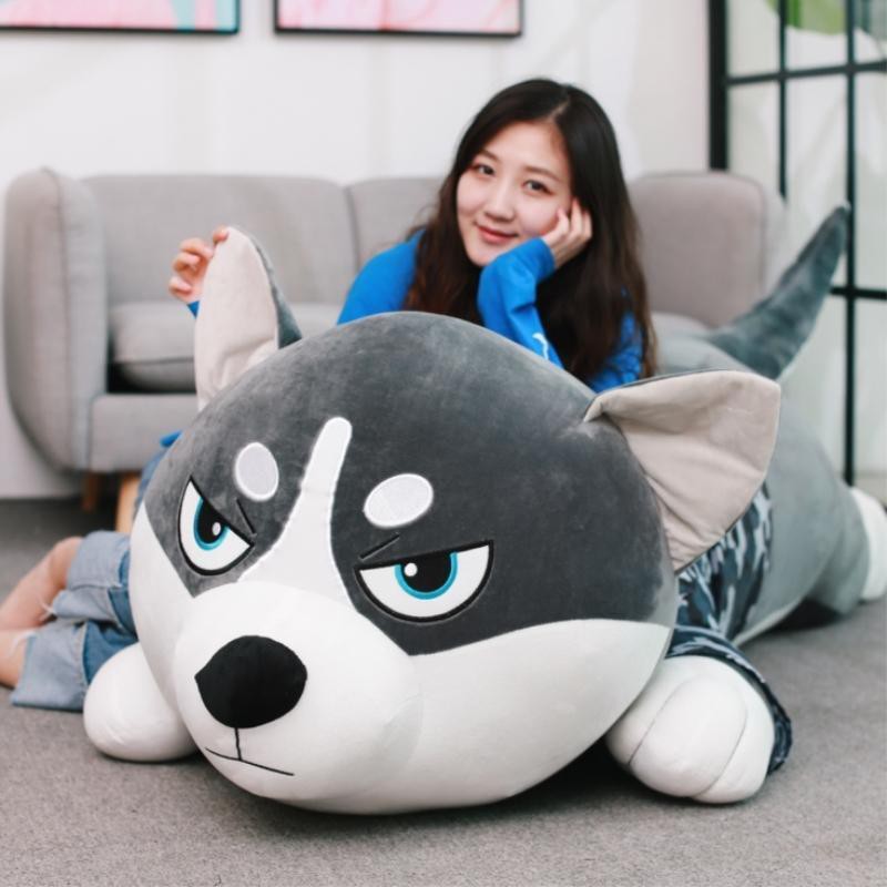 Búp bê Husky Erha dễ thương đồ chơi sang trọng con chó gối món quà sinh nhật lớn cô gái giường