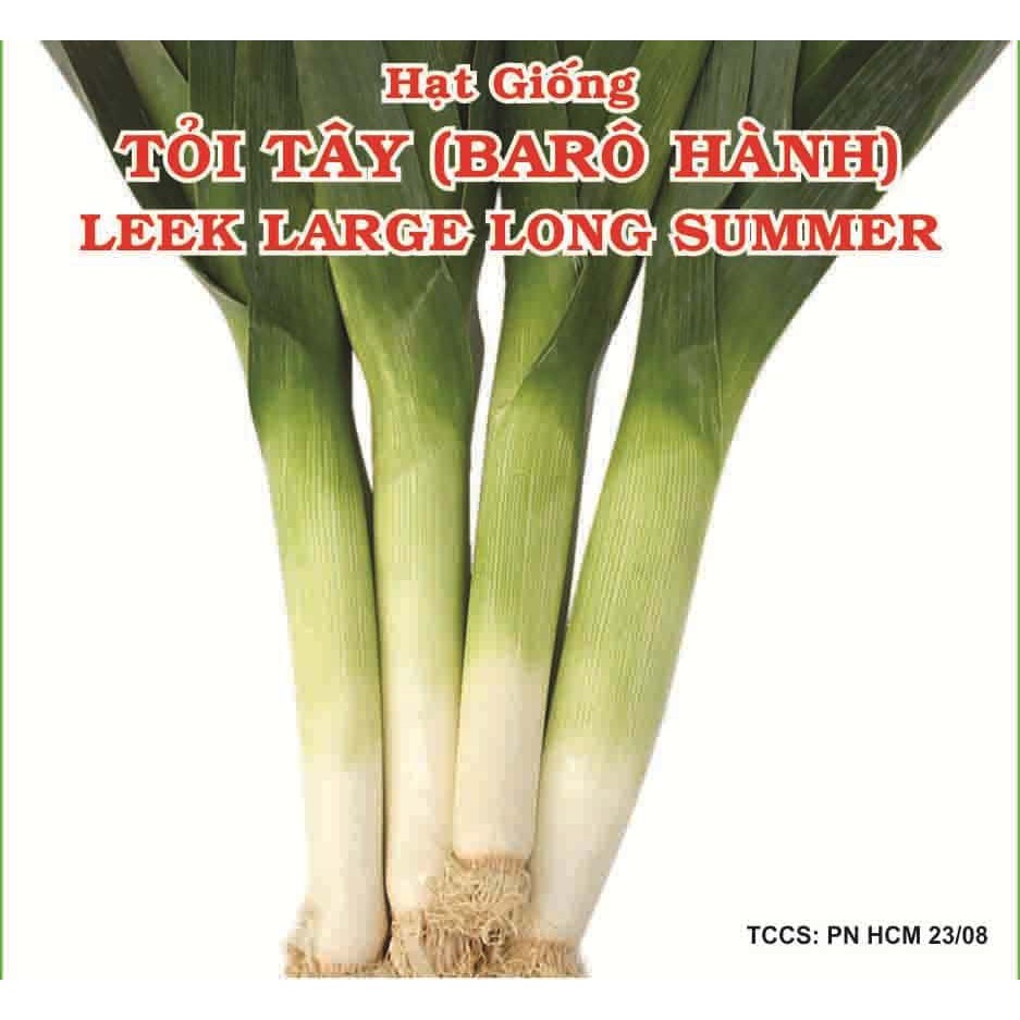 2 Gram - Hạt Giống Tỏi Tây Ý