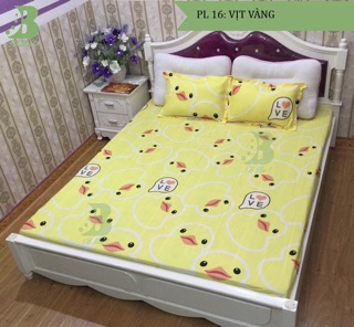 Bộ ga chun m6*2m và 2 vỏ gối đầu 45*65cm cotton poly SALE