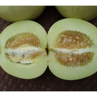 Hạt giống Dưa lê tây