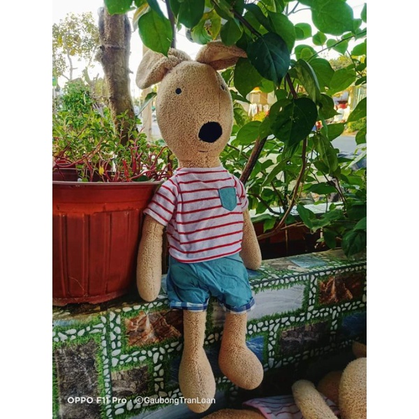 Gấu bông thỏ quý tộc 60cm