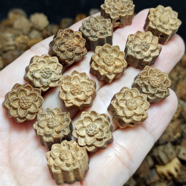 GIÁ SỈ  Hoa sen trầm hương tự nhiên - Hàng tự nhiên chuẩn 100%