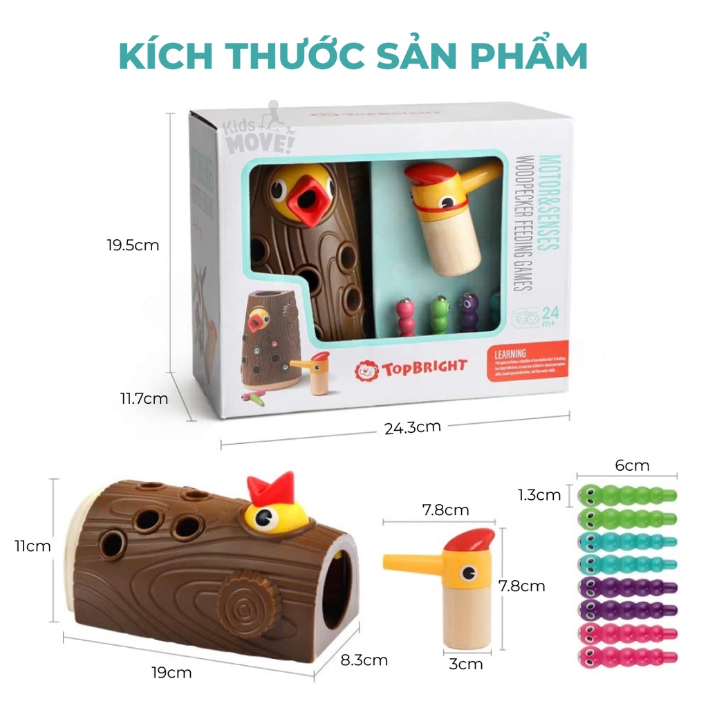 Bộ đồ chơi nam châm Chim gõ kiến bắt sâu Montessori cho bé 1-2-3 tuổi chính hãng TOPBRIGHT hàng cao cấp