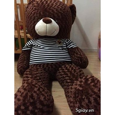 Gấu bông teddy 1,8m giá tại xưởng