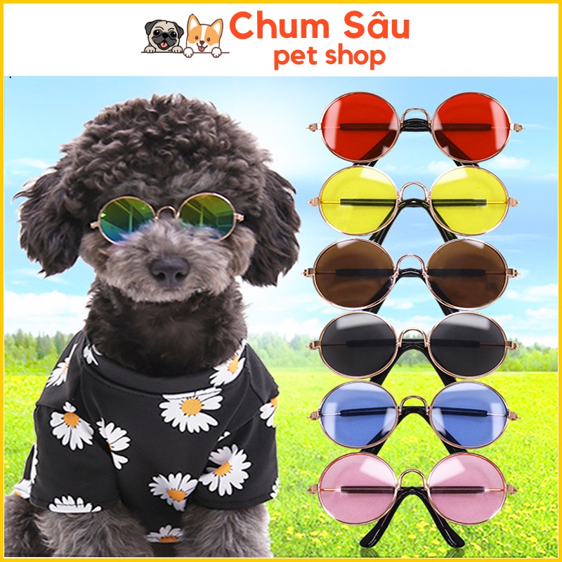 Mắt Kính Cho Chó Mèo - Mắt Kính Thời Trang Cho Mèo