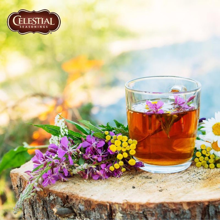 Trà túi lọc Celestial Seasonings (hàng Mỹ) thảo mộc và trái cây hộp 5 vị