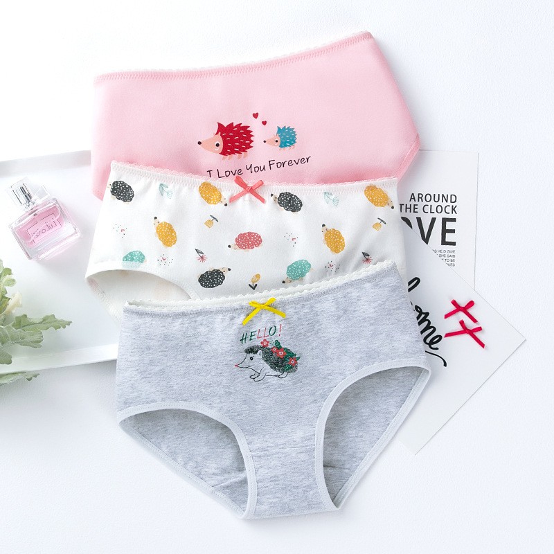 Bộ 3 Quần Lót Boxer Cotton Cho Bé Gái