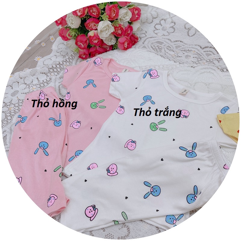 Bộ bé gái cotton tăm tim và thỏ quần ngố XHN938