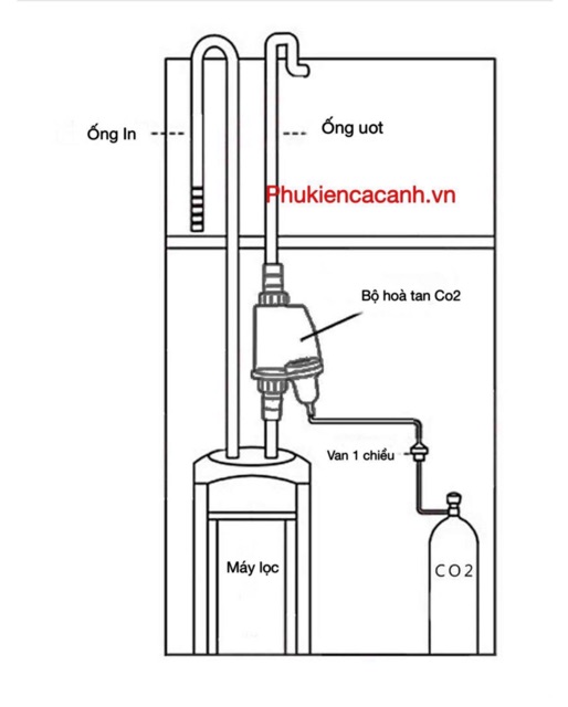 Trộn nhánh Co2