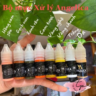 MỰC XỬ LÝ ANGELICA ĐỦ MÀU