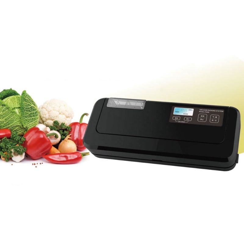 Máy hút chân không P_290B