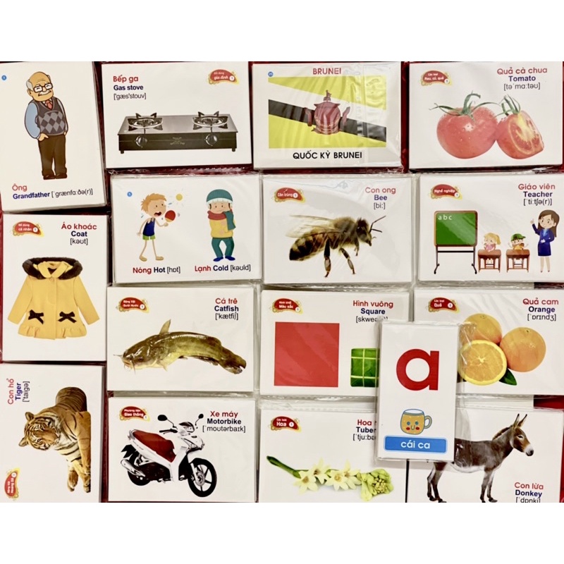 Flashcard cho bé-Bộ 416 thẻ học thông minh 16 chủ đề song ngữ cho bé,nhận biết Thế giới xung quanh - đồ chơi thông minh