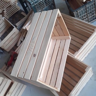 Hộp pallet