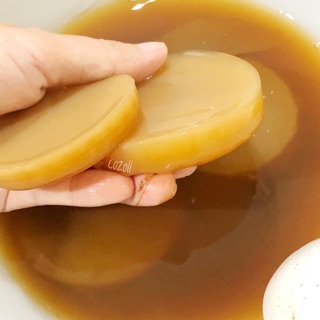 Nấm thuỷ sâm kombucha