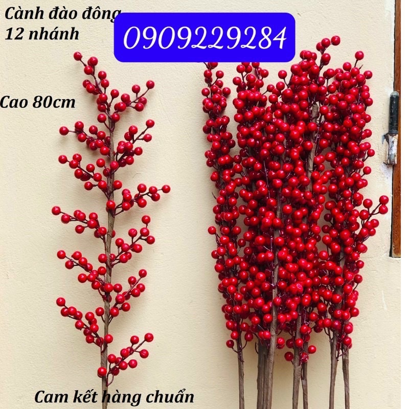 Đào đông 12 nhánh loại đẹp không dính,cành cao 80cm 12 nhánh