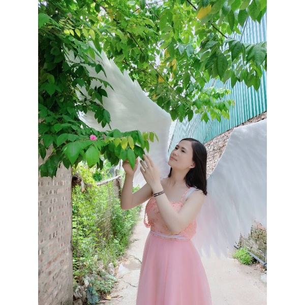 Cánh thiên thần dáng ngược