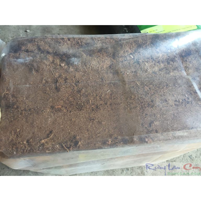 GROW!T coco coir mix mụn dừa, cám dừa đã xử lý. (cục=4,5kg)