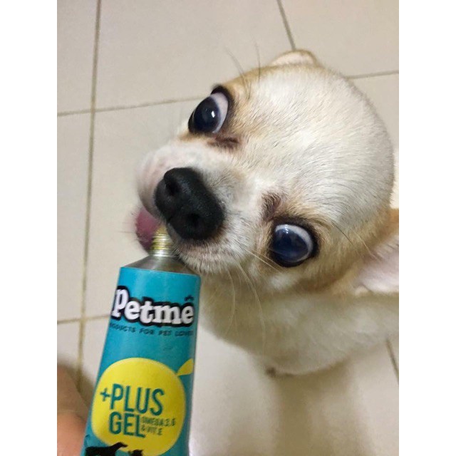 Gel dinh dưỡng Petme Plus Gel dành cho cún mèo💦
