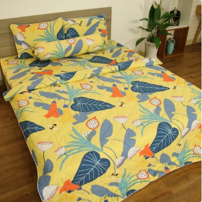 Drap Cotton TATANA - Thoáng mát - 100% Cotton