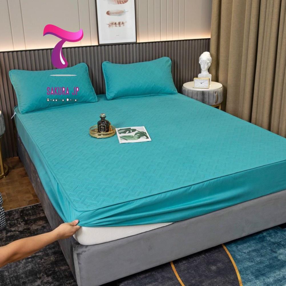 HÀNG MỚI- Ga Gối Chống Thấm Cotton Trần Bông Ép Nhiệt Cao Cấp - Ga Cotton Chống Thấm | BigBuy360 - bigbuy360.vn