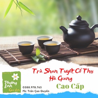 Trà shan tuyết cổ thụ cao cấp/ phương linh garden- chè cổ thụ hà giang - rừng chè tây côn lĩnh