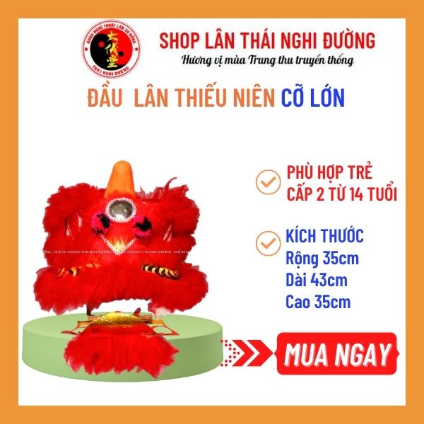 Đầu lân lớn Thái Nghi Đường, lông cừu, 7 màu sắc lựa chọn, làm đồ trang trí, đồ chơi vận động cho bé từ 10 tuổi trở lên