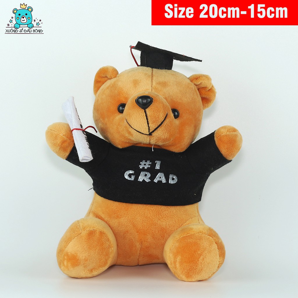 Gấu cử nhân quà tặng tốt nghiệp cho bé nhận in logo theo yêu cầu size 20-15cm