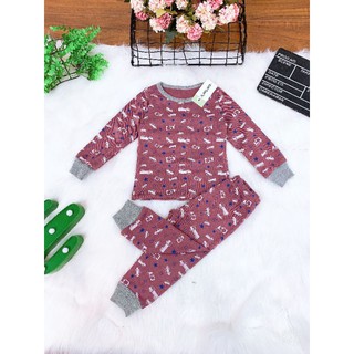 COMBO 4 bộ dài tay bé trai bé gai