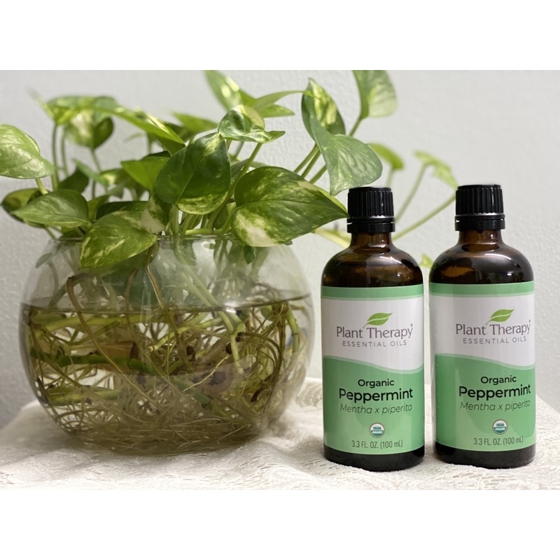 Tinh Dầu Bạc Hà Hữu Cơ Plant Therapy 10ml - 30mL - 100ml