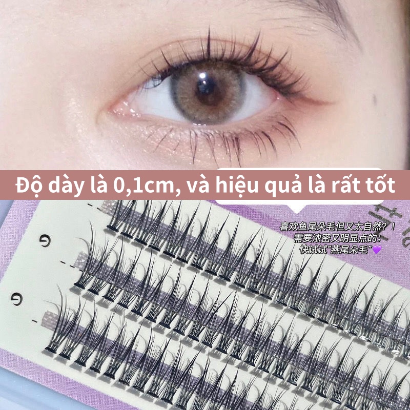 Lông mi giả tự nhiên dày 0.1 dùng để nối mi giả