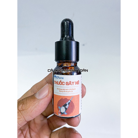 DUNG DỊCH GÂY MÊ CHO CÁ CẢNH, CÁ KOI, CÁ RỒNG ACPHARNO 10ML