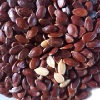Hạt dưa rang bơ không màu ( gói 500gr)