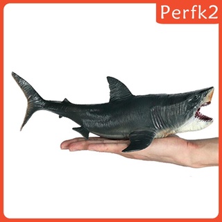 Mô hình cá mập Megalodon chân thật
