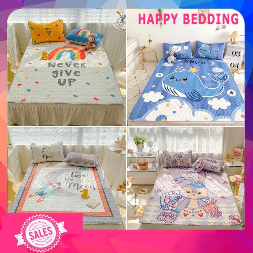 Chiếu điều hòa cao su non, Chiếu cao su non 5D hàng nhập TT01 tặng kèm 2 vỏ gối