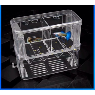 Lồng Đẻ Cho Cá Bảy Màu | Lồng Đẻ Mica ĐÔI