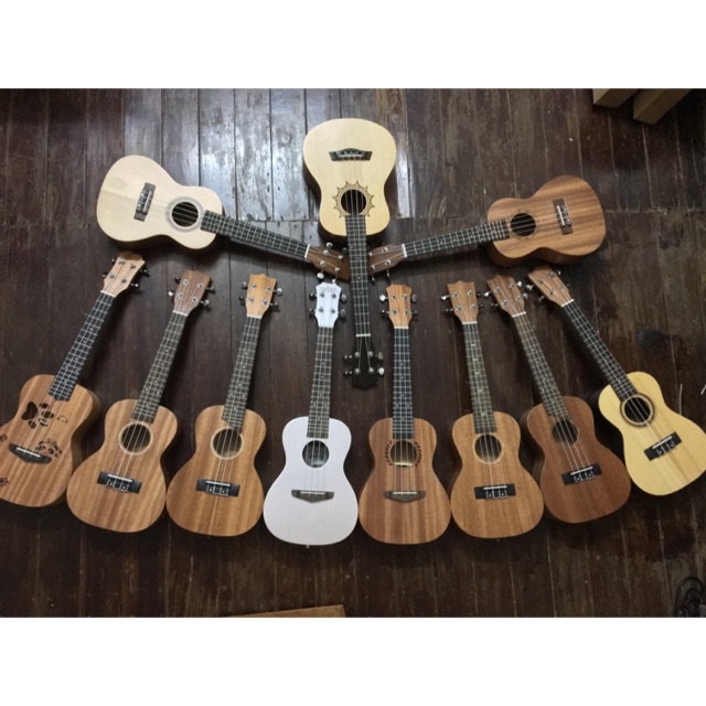 TỔNG HỢP CÁC MẪU UKULELE MỚI VỀ 8/12 GIÁ RẺ