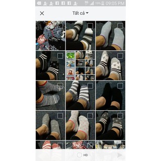 Combo 100 đôi tất đẹp