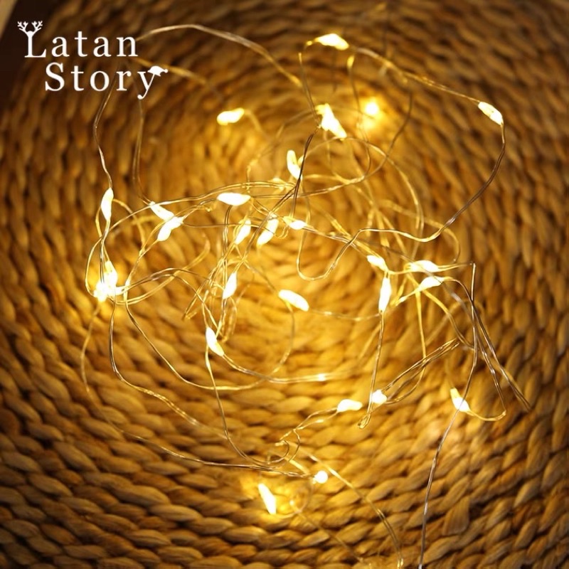 Đèn led đom đóm 2m kèm sẵn pin đĩa, Đèn trang trí Fairy Light - Decor Fancy