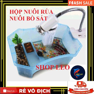 Bể nuôi rùa bằng nhựa - Hộp nuôi rùa chuyên dụng - Thùng nuôi rùa - Bò sát - thú cưng bằng nhựa - Pet
