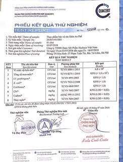 Siro Ho An Phế