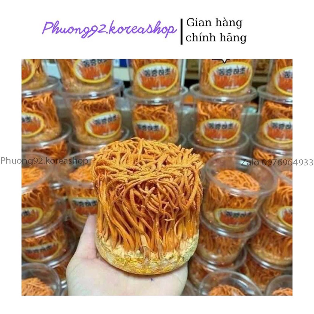 (Hàng chuẩn) Hoa Đông Trùng Hạ Thảo Hàn Quốc Dạng Khô, Cao Cấp | BigBuy360 - bigbuy360.vn