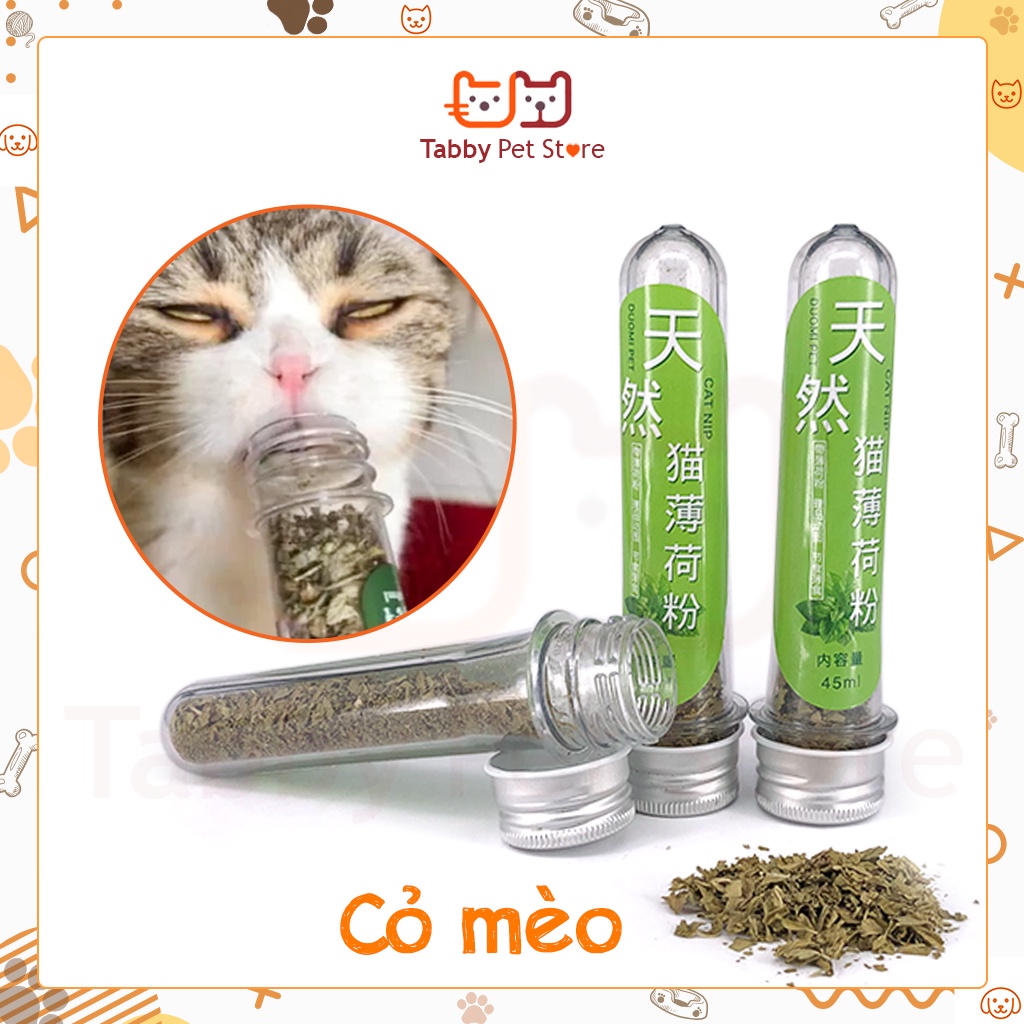 Cỏ mèo bạc hà Canip khô cho mèo Tabby Pet Store